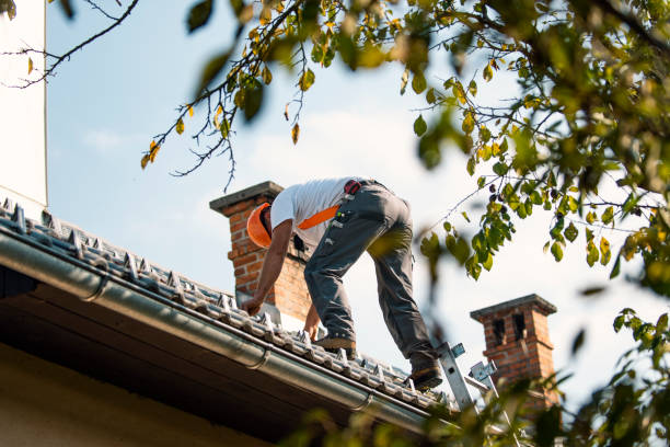 Roof Waterproofing Services in Howard Lake, MN