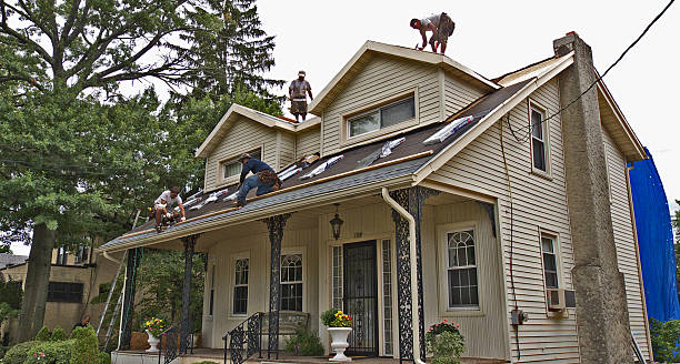 Best Storm Damage Roof Repair  in Howard Lake, MN