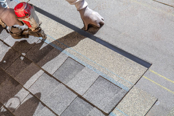 Best Local Roofing Companies  in Howard Lake, MN