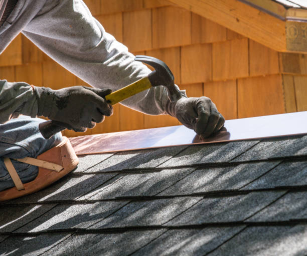 Best Metal Roofing Contractor  in Howard Lake, MN